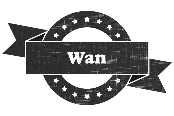Wan grunge logo