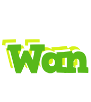 Wan picnic logo