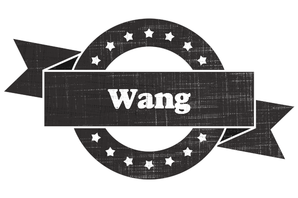 Wang grunge logo