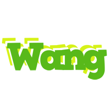 Wang picnic logo