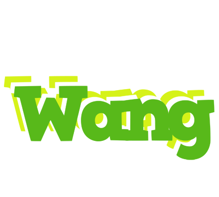 Wang picnic logo