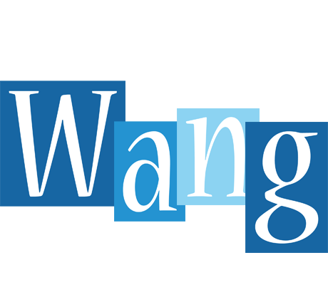 Wang winter logo