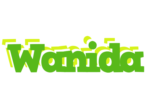 Wanida picnic logo