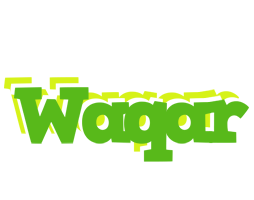 Waqar picnic logo