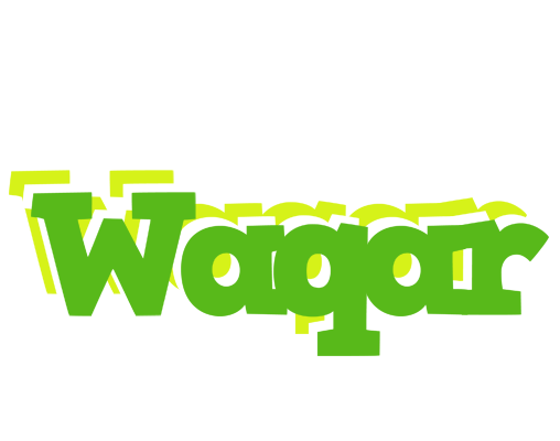 Waqar picnic logo
