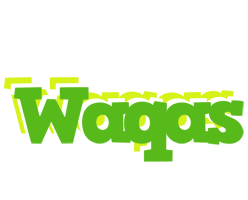 Waqas picnic logo