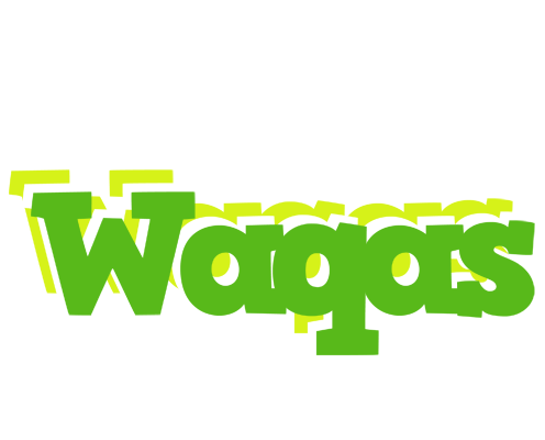 Waqas picnic logo