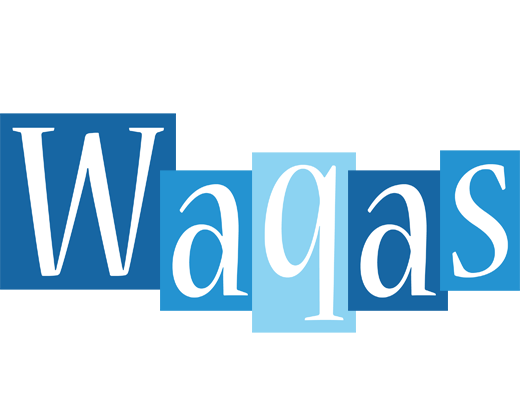 Waqas winter logo