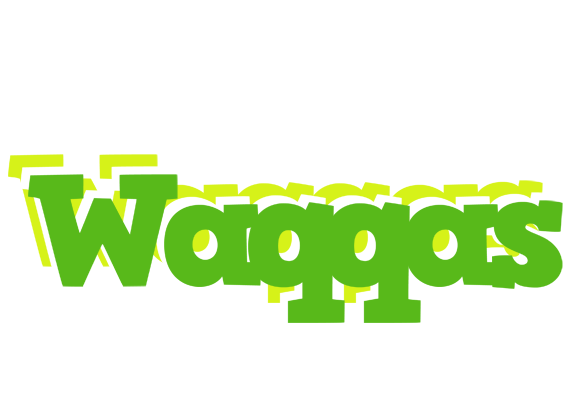 Waqqas picnic logo