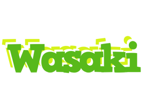 Wasaki picnic logo