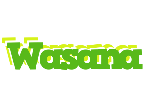 Wasana picnic logo