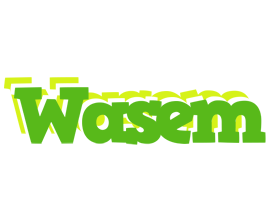 Wasem picnic logo