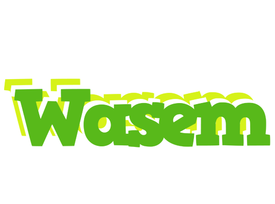 Wasem picnic logo