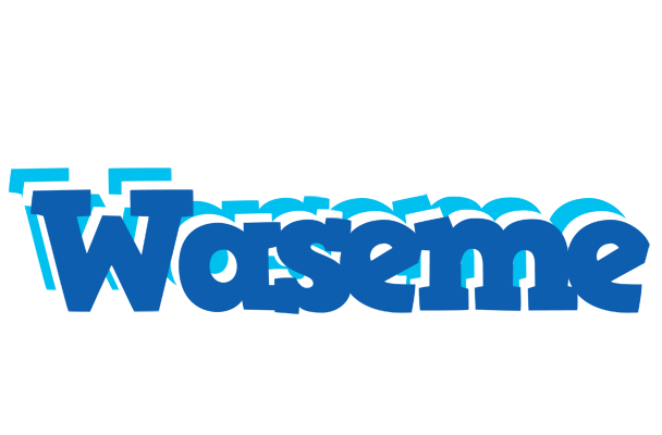 Waseme business logo