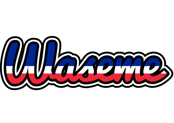 Waseme france logo