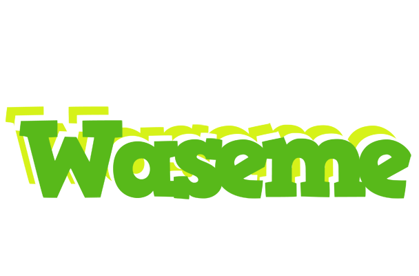 Waseme picnic logo