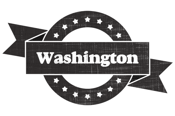Washington grunge logo