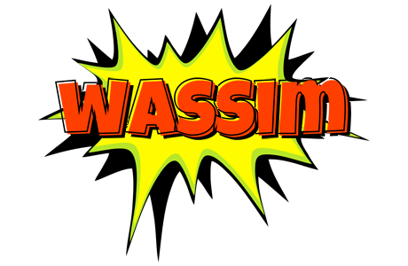 Wassim bigfoot logo