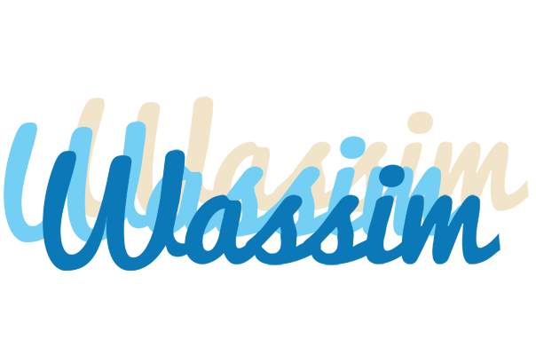 Wassim breeze logo