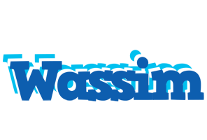 Wassim business logo