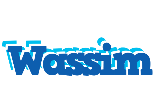 Wassim business logo