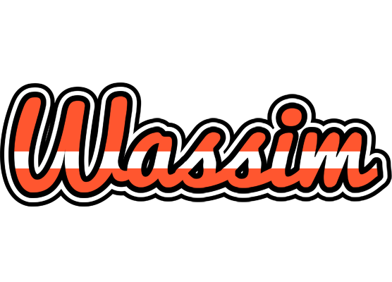 Wassim denmark logo