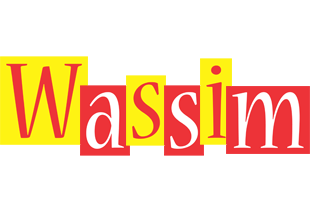 Wassim errors logo