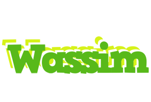 Wassim picnic logo