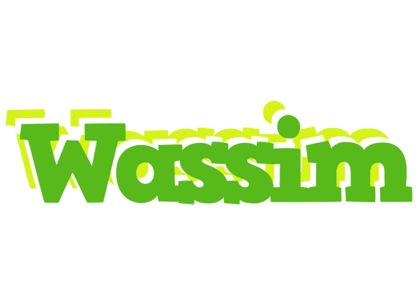 Wassim picnic logo
