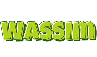 Wassim summer logo