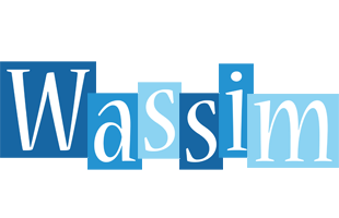 Wassim winter logo