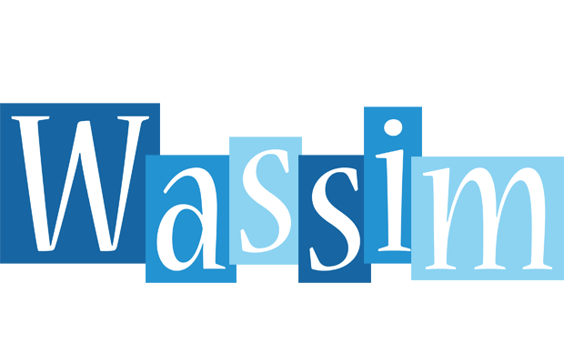 Wassim winter logo