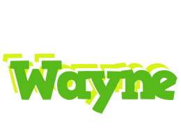 Wayne picnic logo