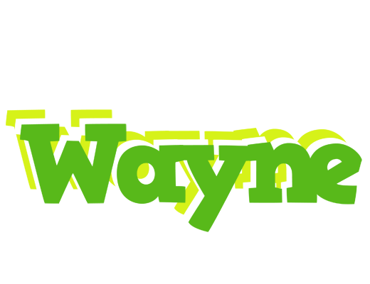 Wayne picnic logo