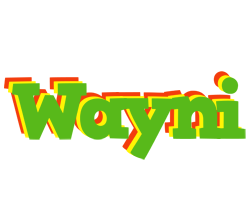 Wayni crocodile logo