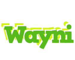 Wayni picnic logo