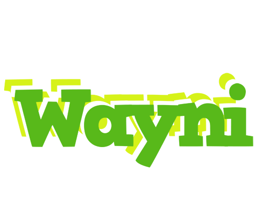 Wayni picnic logo
