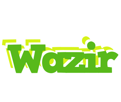 Wazir picnic logo
