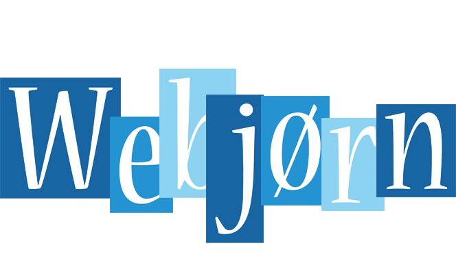 Webjørn winter logo