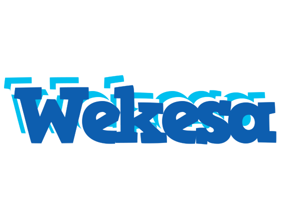 Wekesa business logo