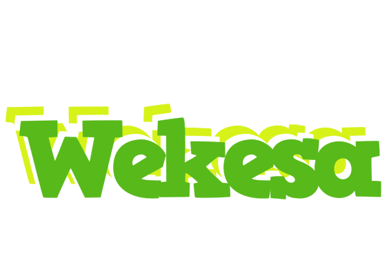 Wekesa picnic logo