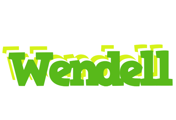 Wendell picnic logo