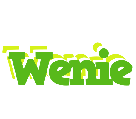 Wenie picnic logo