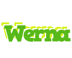 Werna picnic logo