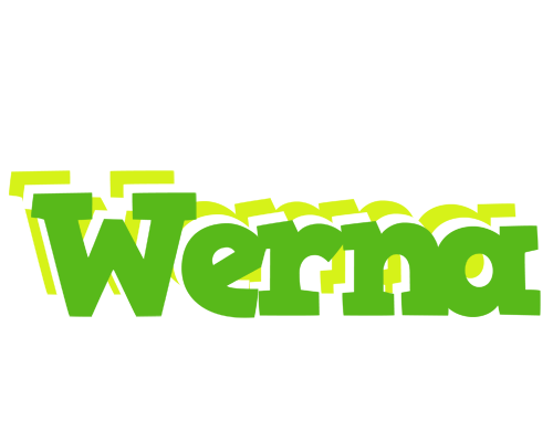 Werna picnic logo