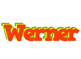 Werner bbq logo