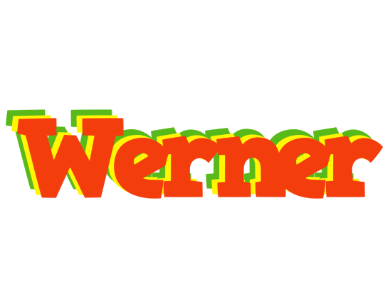Werner bbq logo