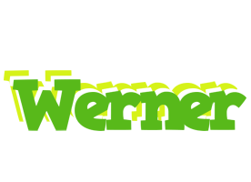 Werner picnic logo