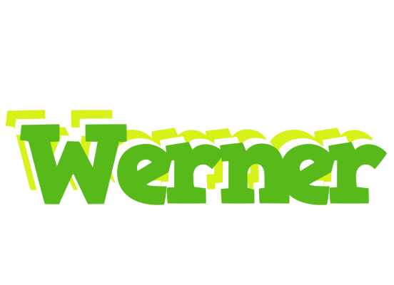 Werner picnic logo