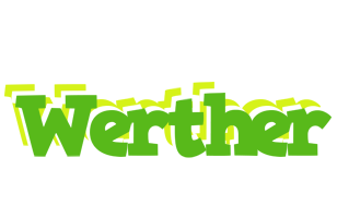 Werther picnic logo